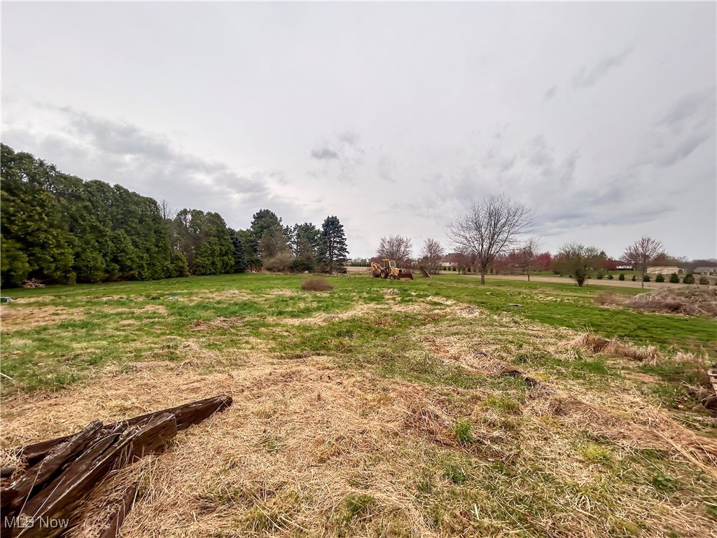 13000 Woodworth Road, Springfield, Ohio image 38