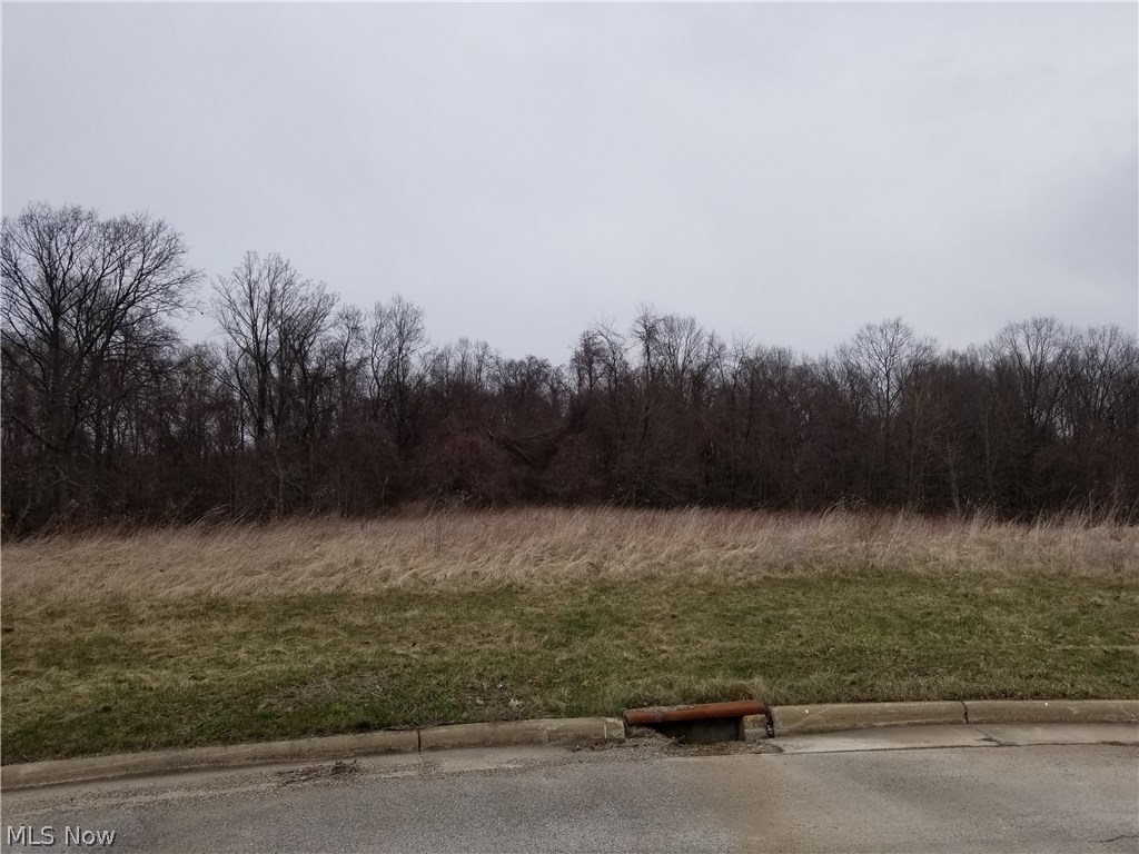 Mystic Woods 2 - Land