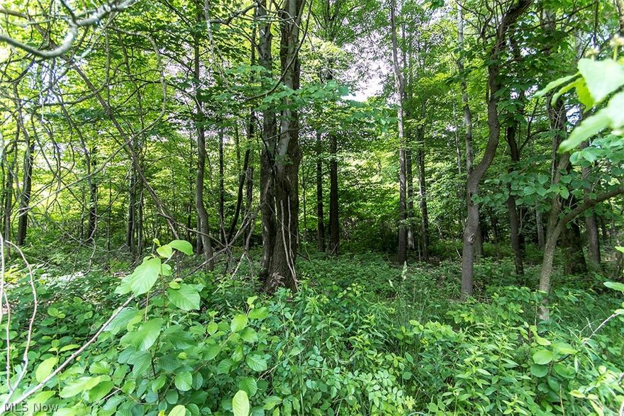Beautiful 3.44 acre rectangular lot situated between Boston Mills and Columbia Roads, with plenty of hard wood trees.  The neighbor next door to the right may be willing to share a portion of their drive or you can have your own.  The land on the right side has been driven over in the past.  This parcel is located close to the Cuyahoga Valley National Park, the towpath trail for hiking and/or biking, the Cuyahoga River which can be canoed and/or kayaked on, along with fishing, and close to the ski slopes.  Its also located close to Peninsula and Brecksville and close to Rts. 77, 271 and the turnpike.  Its an ideal lot to building your dream home or get-a-way.