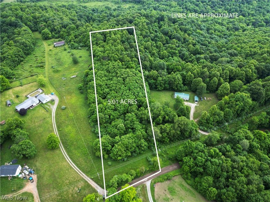 Here is a nice gently rolling wooded tract that could be the sight of your dream home or maybe you have been looking for that small affordable tract to set up a camper and hunt a bit as well.. this one has plenty of road frontage, has a nice flat area out front and is gently rolling throughout the whole property. There is no driveway pushed in right now but there is ample room for that. Park along the road for now as you take a look. This one could be used for a variety of purposes. The seller does not know if he owns the minerals and will transfer any that he has currently.