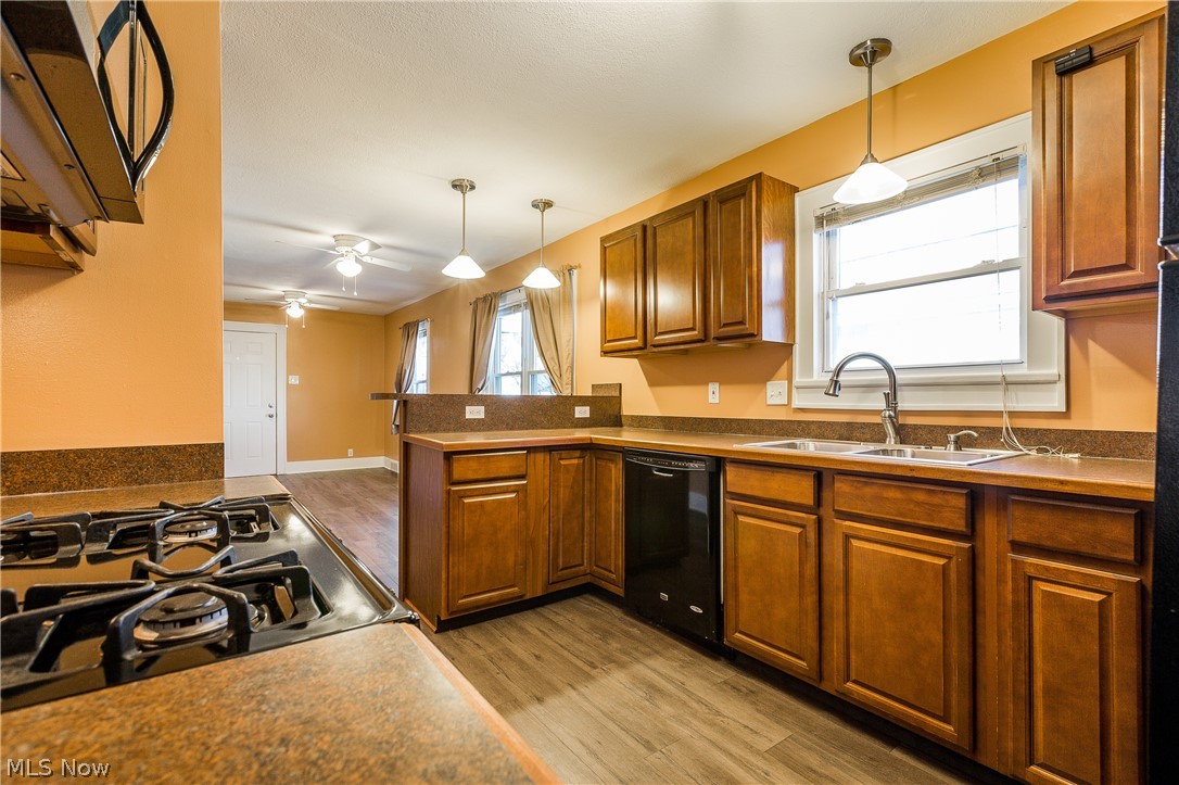 Eastview Allotment - Residential