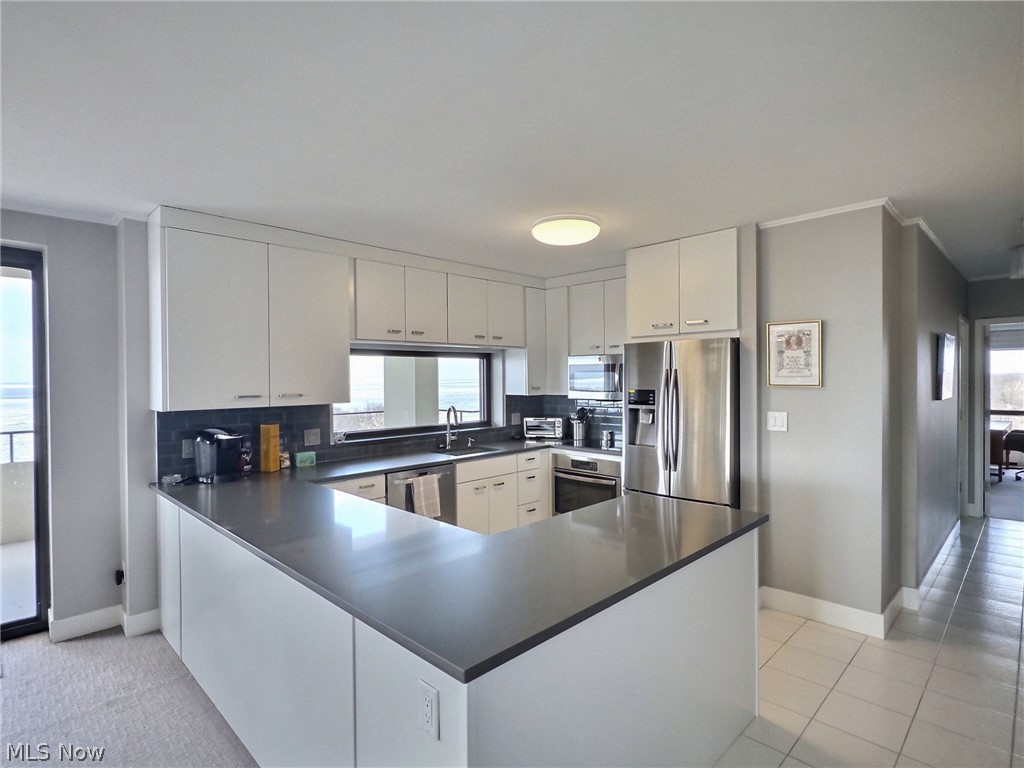 1 Bratenahl Place 1009