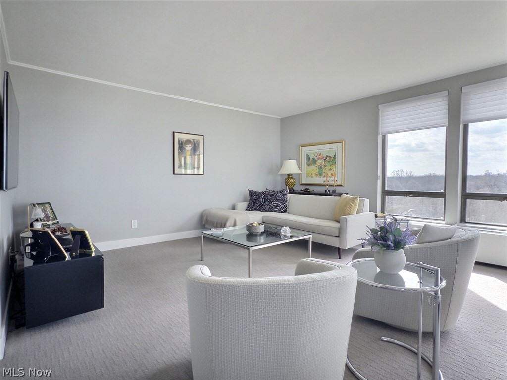 One Bratenahl Place Condo - Residential