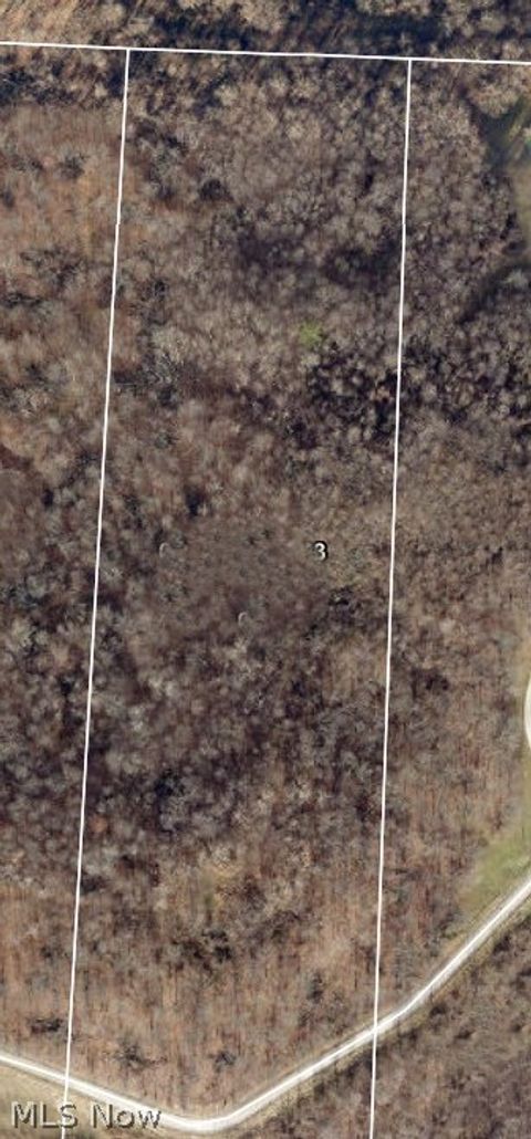 Vacant Land For Sale - Zane Road<br/> Lore City, OH 43755