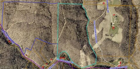 Vacant Land For Sale - 00 Pipe Creek Road<br/> Jacobsburg, OH 43947
