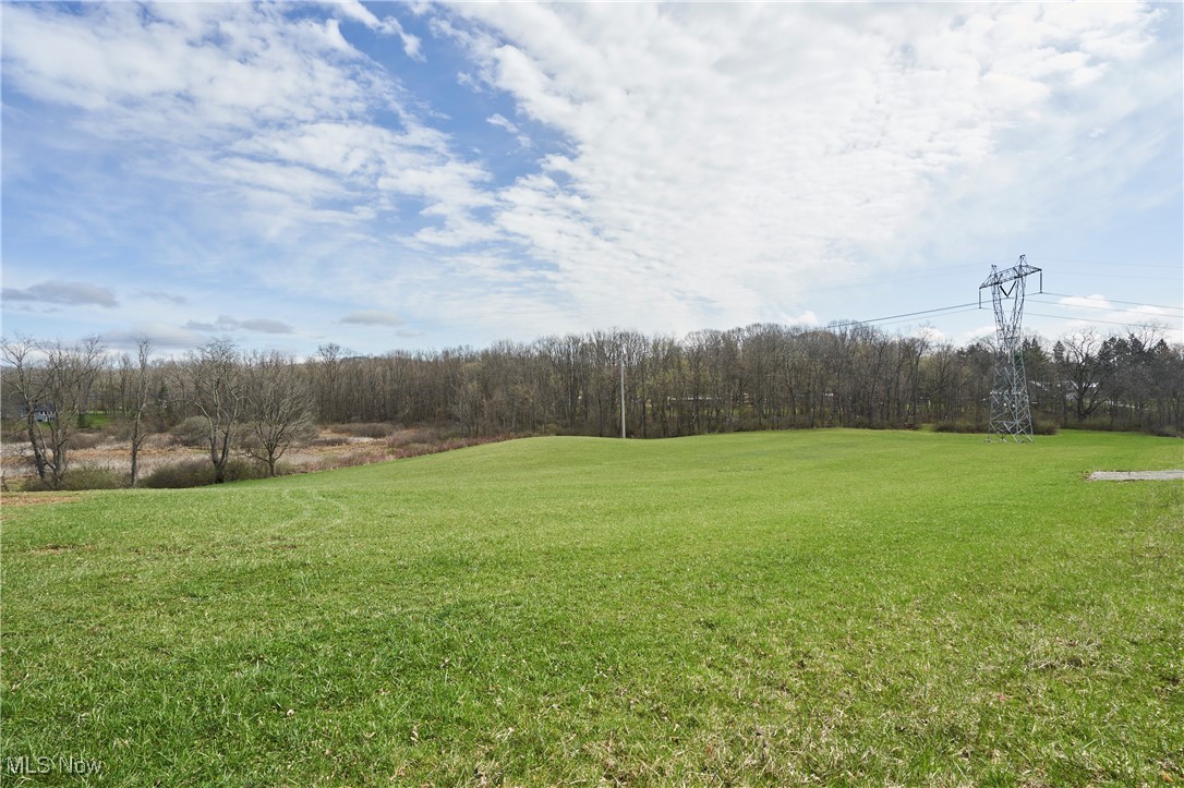 V/L Granger Road, Medina, Ohio image 4