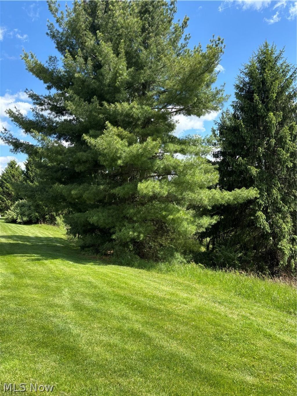 Photo of 1136 Pine Bluff Drive NE, New Philadelphia, OH 44663 (MLS # 5208989)
