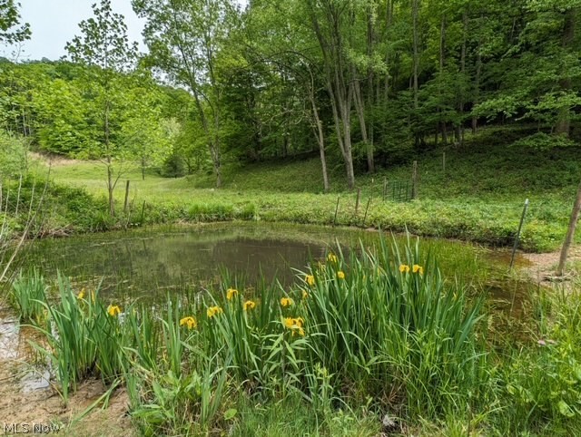 Photo 14 of 34 of 180 RED ROCK LANE land