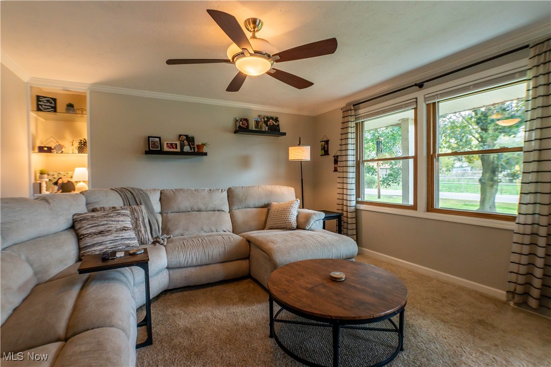 Arlington Meadows - Residential
