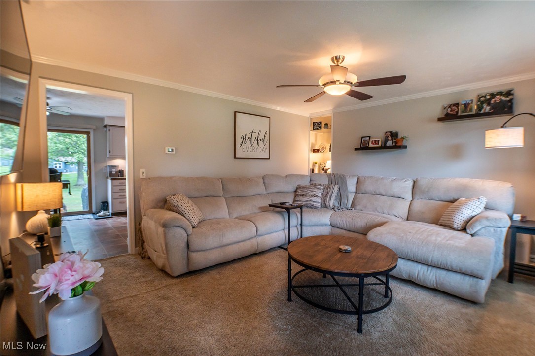 Arlington Meadows - Residential