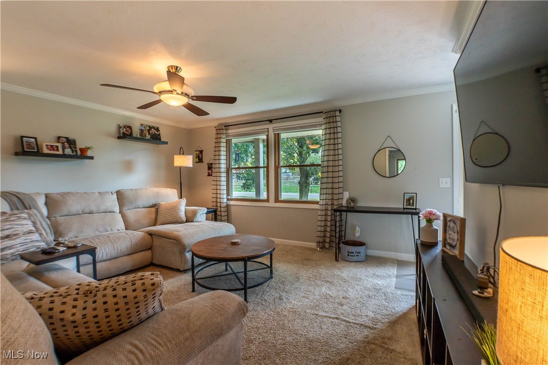 Arlington Meadows - Residential
