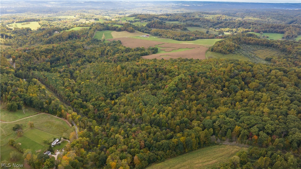 Froman Hill Road #1B, Dover, Ohio image 1