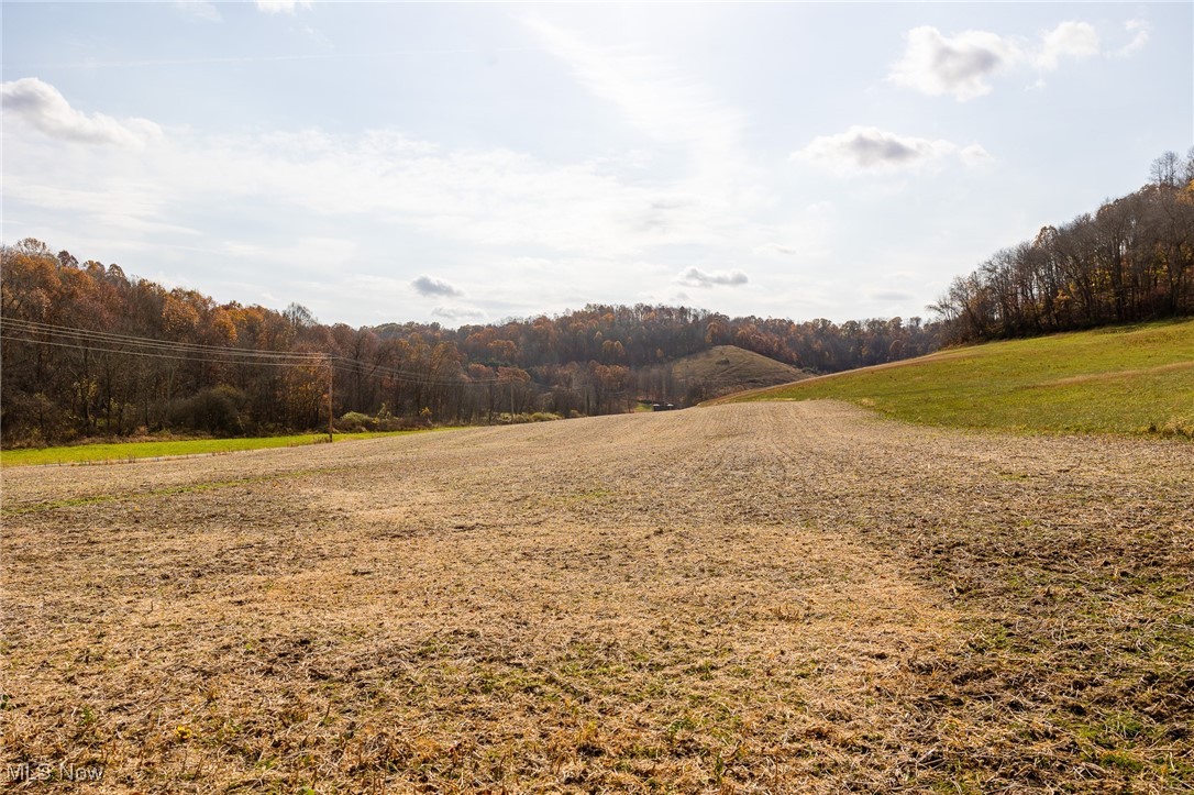 17360 Kedigh Hollow Road, Newcomerstown, Ohio image 1