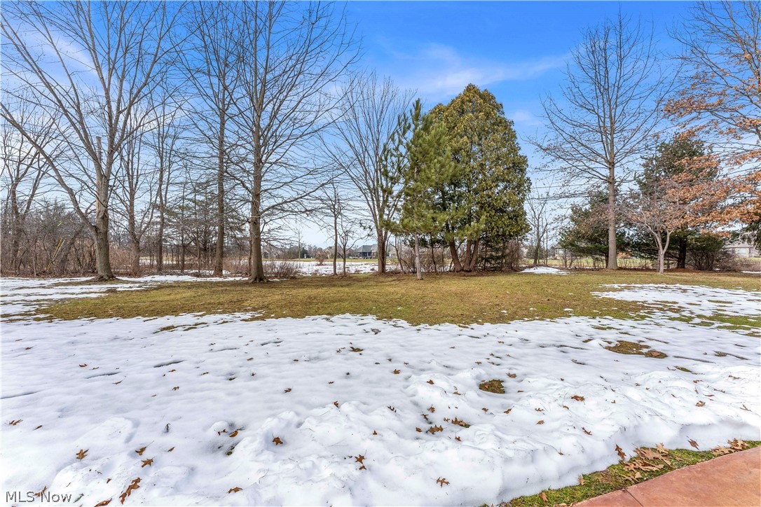 Mills Mdws Allotment - Residential