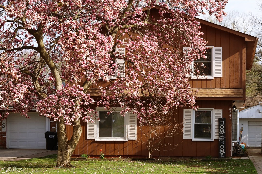 6247 Kirkwall Street, Madison, Ohio image 1
