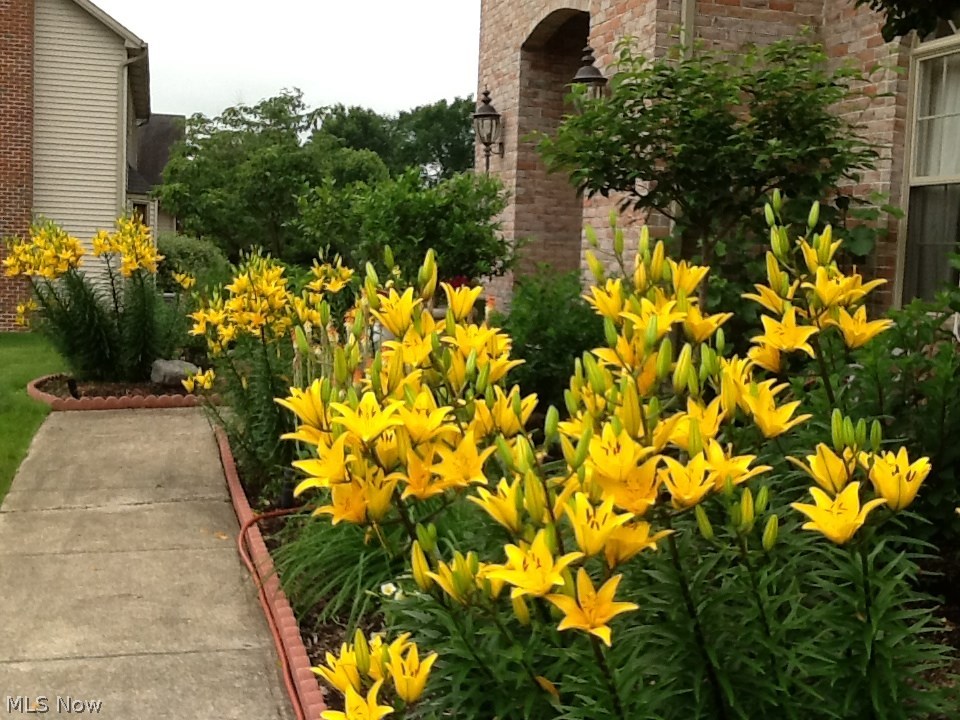 Reserve - Residential