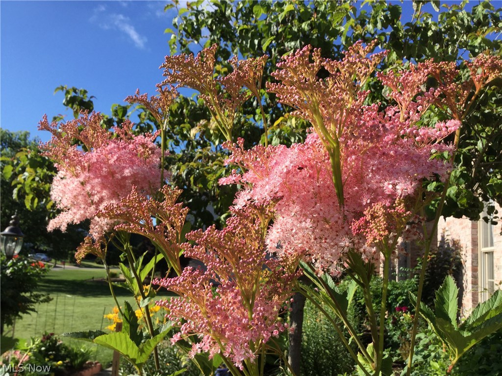 Reserve - Residential