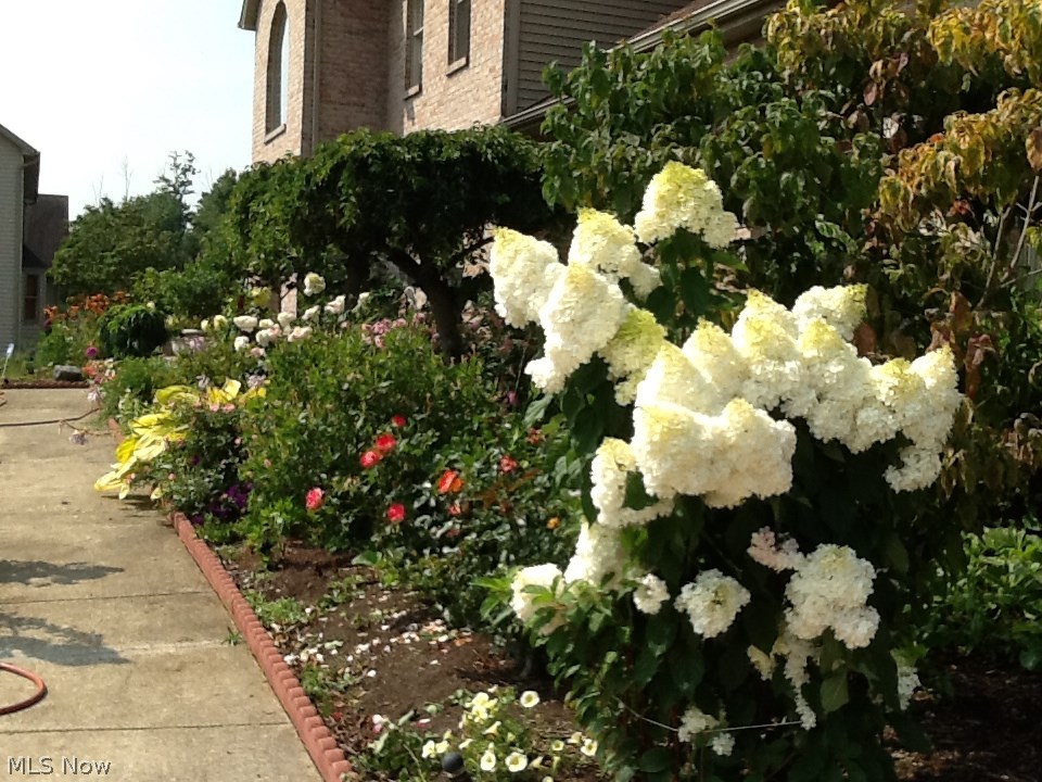 Reserve - Residential