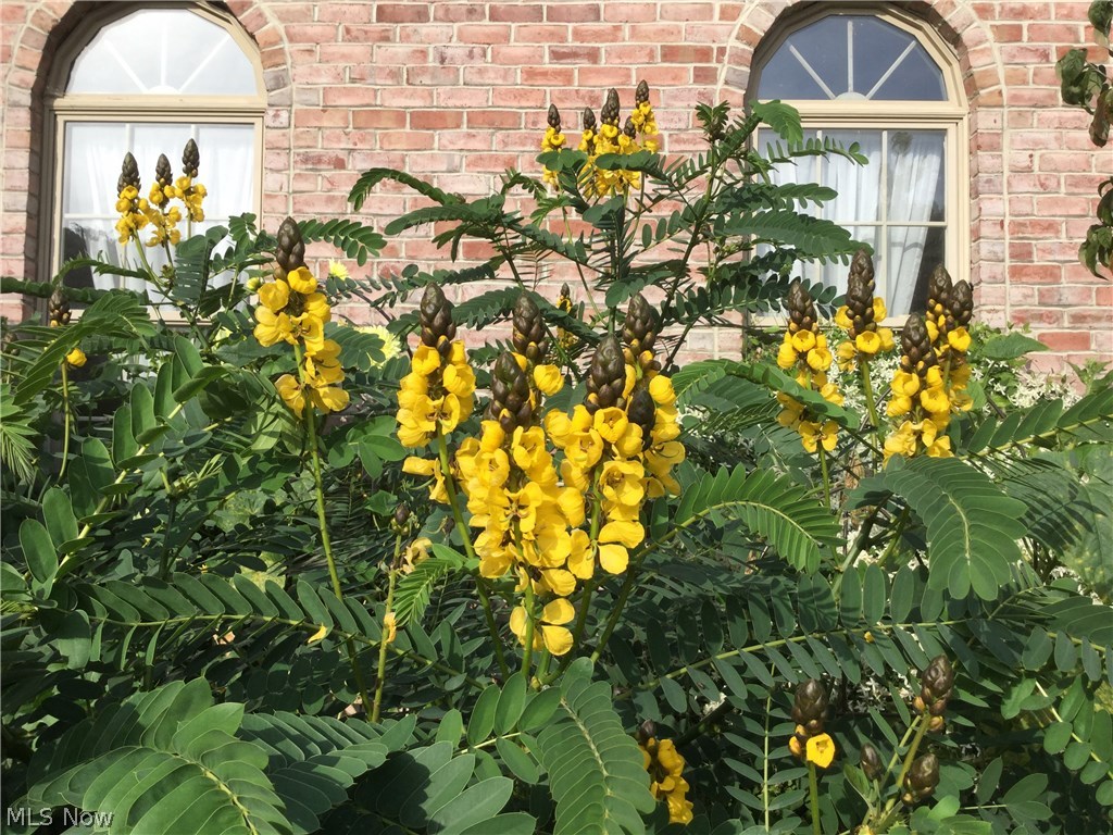 Reserve - Residential