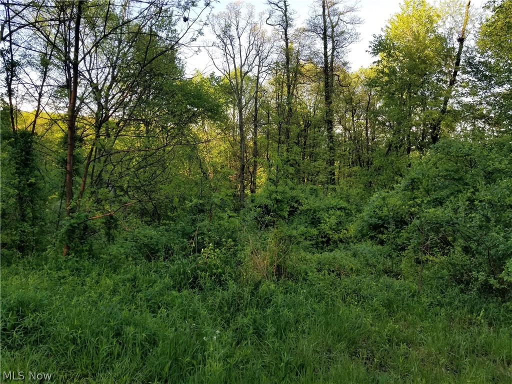 Photo 1 of 4 — Ridge Avenue SW, East Sparta, OH 44626