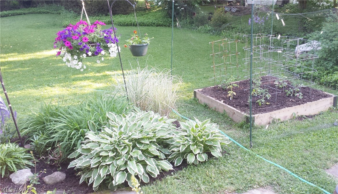 Victor Piccolis Courtland Ova - Residential