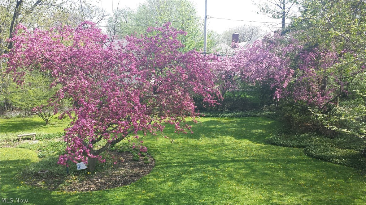 Victor Piccolis Courtland Ova - Residential