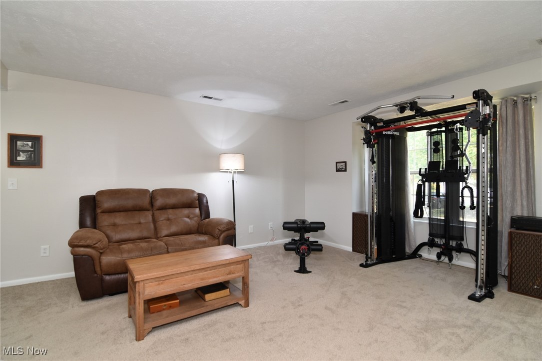 Courtyards Woodbury Condo - Residential