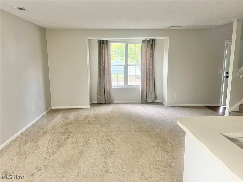 Courtyards Woodbury Condo - Residential