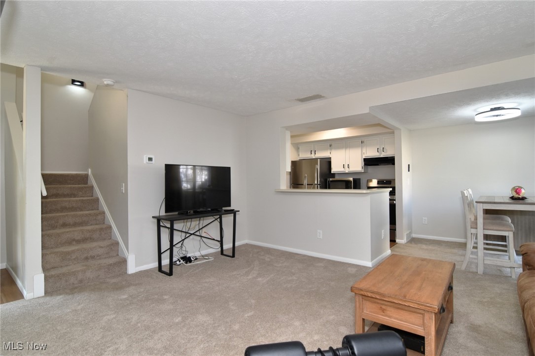 Courtyards Woodbury Condo - Residential