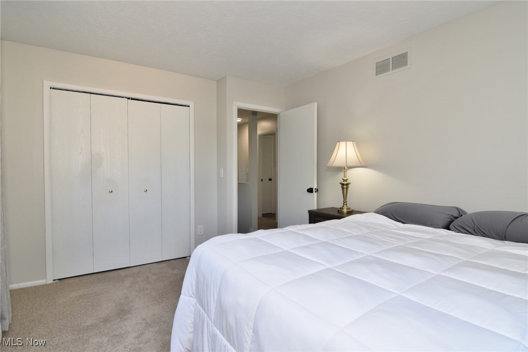 Courtyards Woodbury Condo - Residential