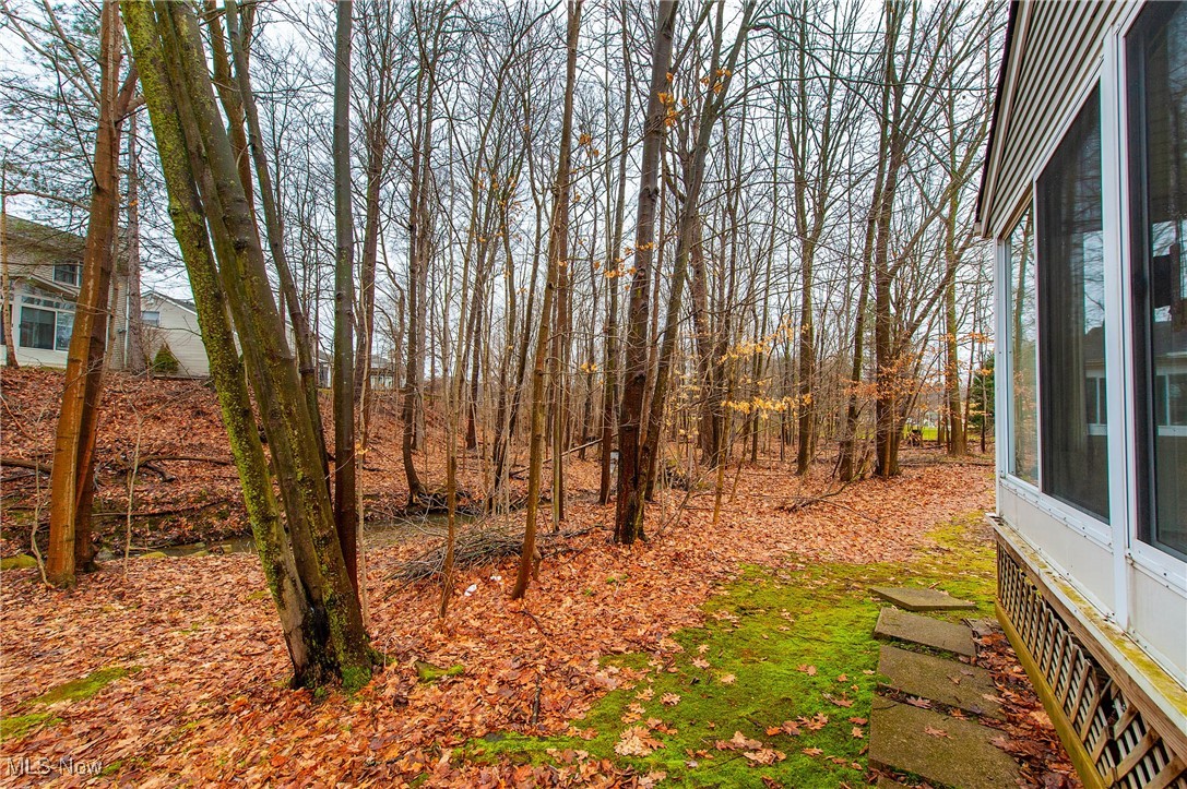 9736 Brookline Oval, Strongsville, Ohio image 26
