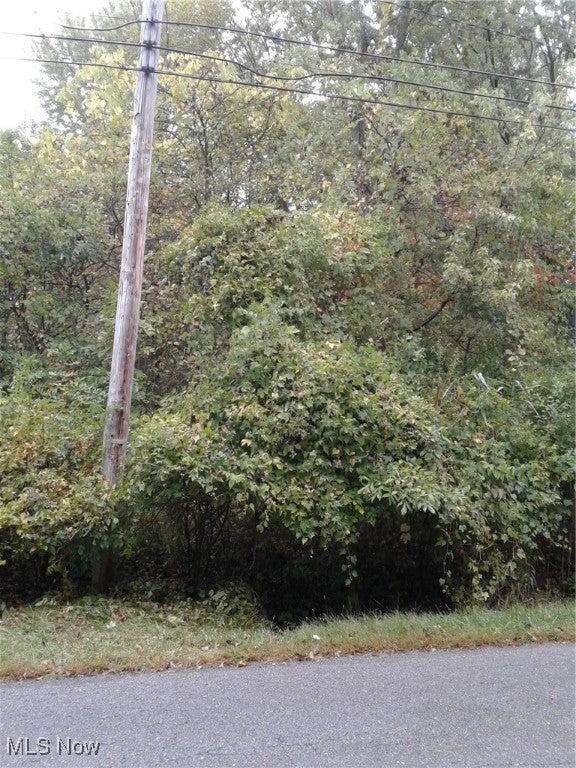 View of Lots off of Walker Rd.