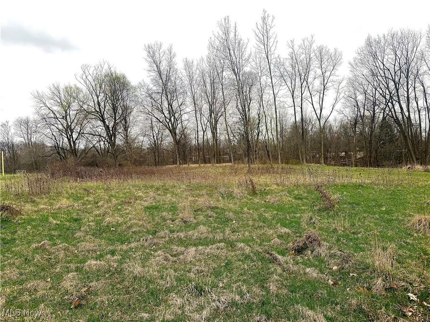 Amazing opportunity to build your dream home on this vacant lot that is located in the heart of Parma. This lot is located close to various amenities and is easily accessible to highways. Call today!
