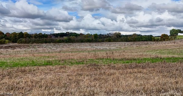 Bellway Avenue, Beach City, Ohio image 1