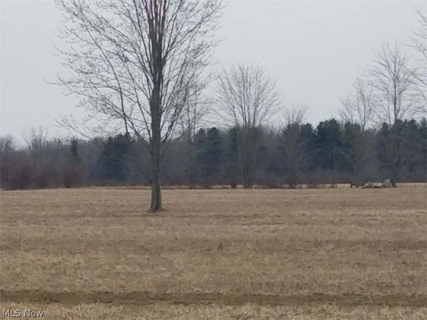 Peaceful 10 acres with over 600 feet of paved road frontage...build your dream home...perfect for horses and enough frontage to have privacy ..in Jefferson Schools