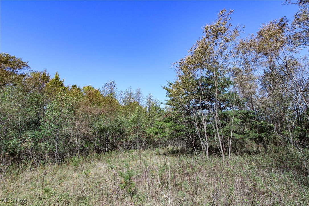 Lot 5 Moss Run Road, Marietta, Ohio image 7