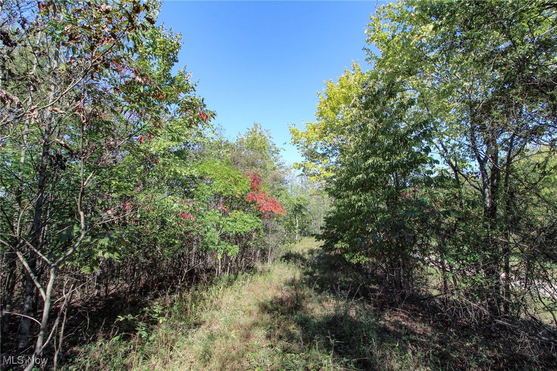 Lot 5 Moss Run Road, Marietta, Ohio image 10