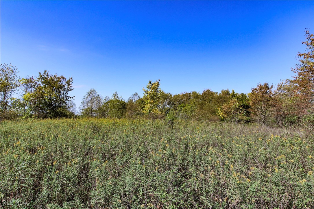 Lot 5 Moss Run Road, Marietta, Ohio image 4