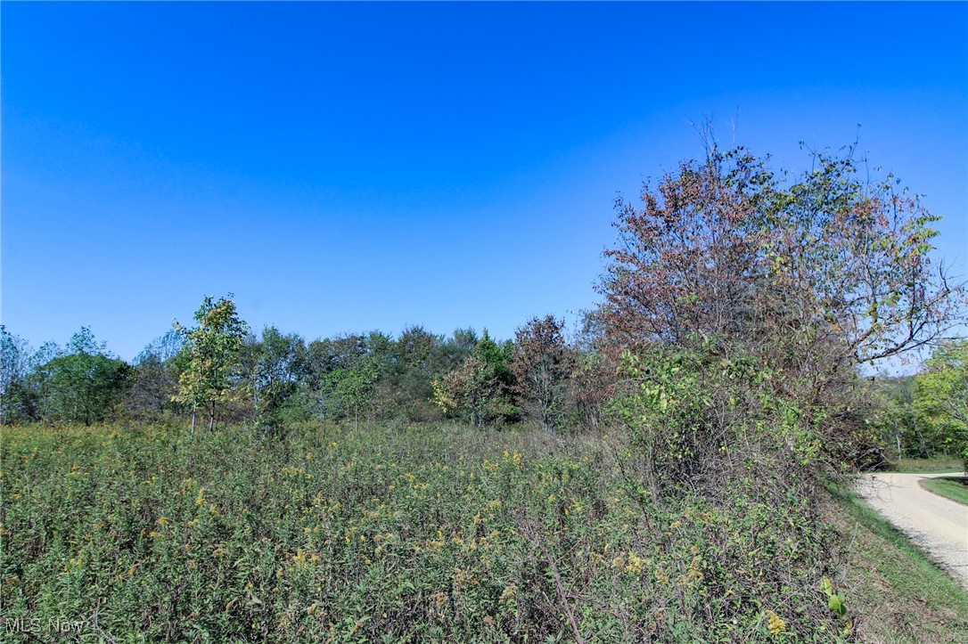 Lot 5 Moss Run Road, Marietta, Ohio image 5