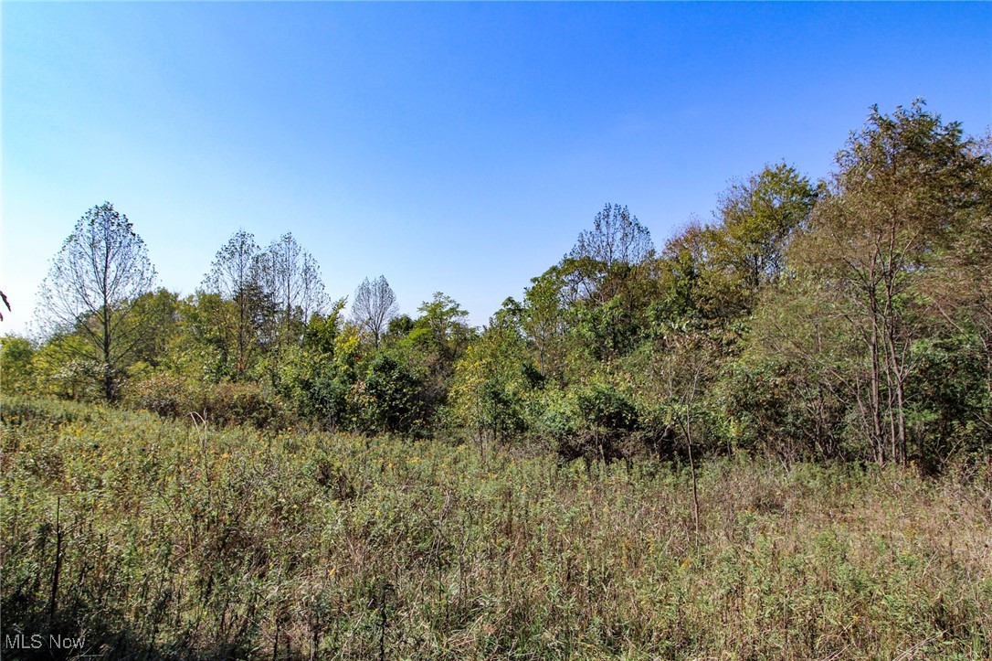 Lot 5 Moss Run Road, Marietta, Ohio image 6