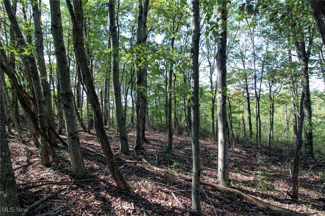 Lot 5 Moss Run Road, Marietta, Ohio image 12