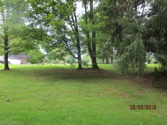 Springfield 01 - Land