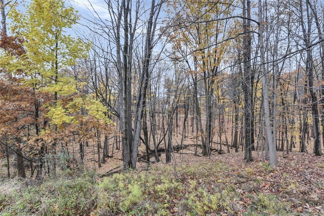 Baldwin Reserve - Residential