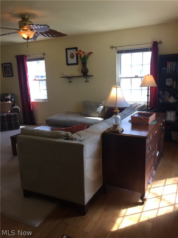 Castle Park - Residential