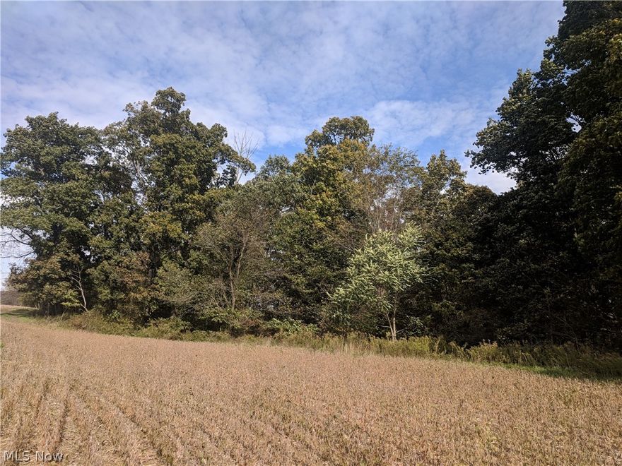 Auction - Auction - Auction 
Just in time for gun season!!!  We will be offering 49.7 wooded acres in an area that is known for its good hunting.  The seller will be offering immediate hunting rights to the high bidder once your down payment has been made.  So, whether you are looking for a hunting tract or a secluded home site make sure you join us the day before Thanksgiving for this fine offering.  The property has 60’ feet of road frontage and is in a developing area of Coshocton County.  Gas/Oil rights do not transfer with the property.  Brochures are available at the property.