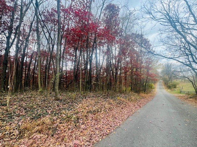 Township Highway 220, Bloomingdale, Ohio image 2