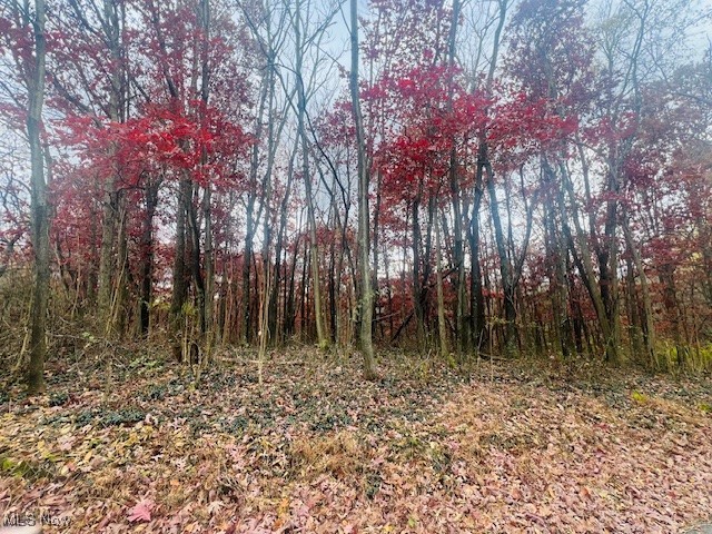 Township Highway 220, Bloomingdale, Ohio image 1