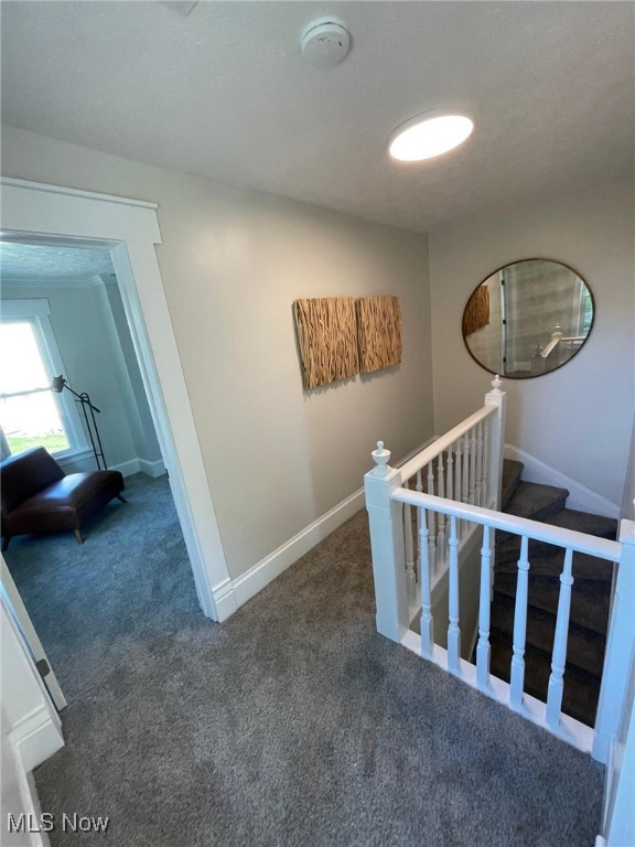 209 Oak Street, Bethesda, Ohio image 11