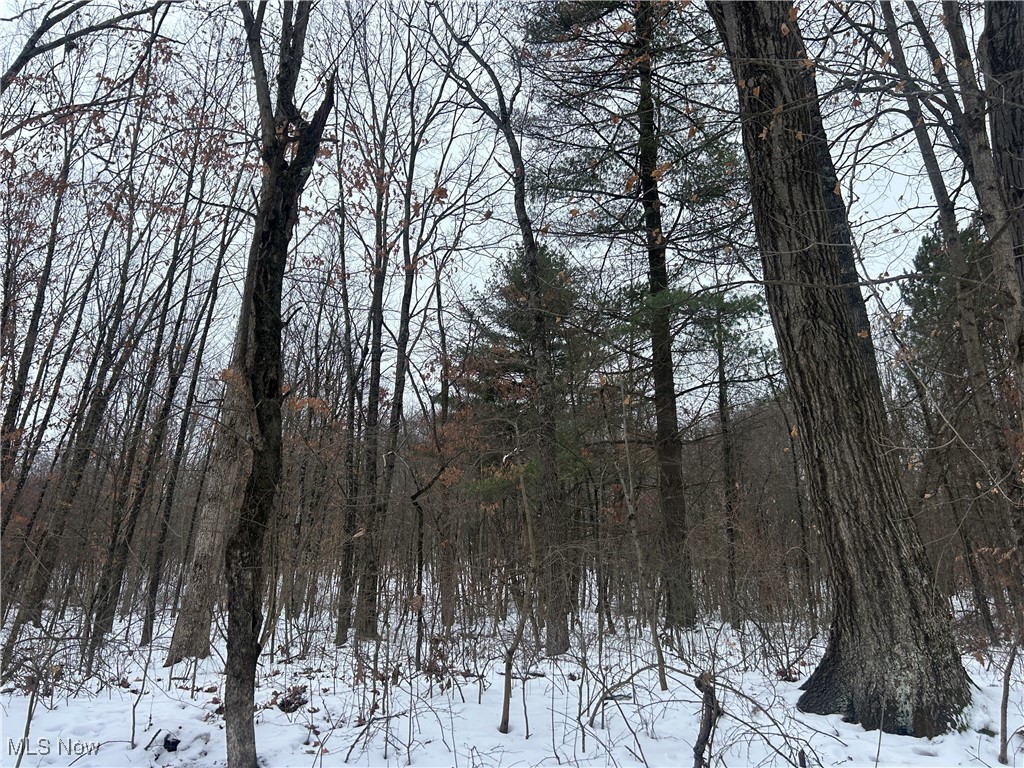 Red Lane, Cumberland, Ohio image 15