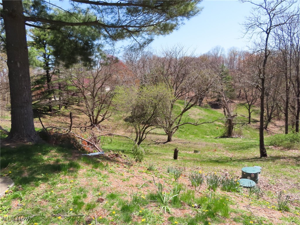 21A Grandview Road, Cambridge, Ohio image 33
